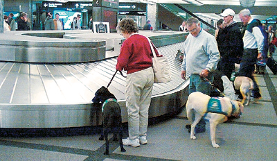 여행 상식-공항서 발생하는 짐문제 대처법