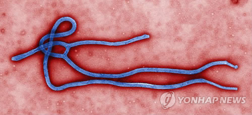 ’에볼라 확산 막아라’…미국이 나섰다