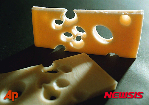 스위스 치즈 구멍 사라진 이유…착유기 사용 때문