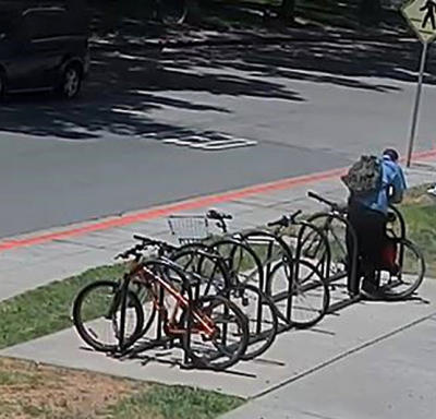 자전거 도둑들 판친다